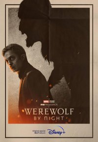 Plakat Serialu Wilkołak nocą (2022)
